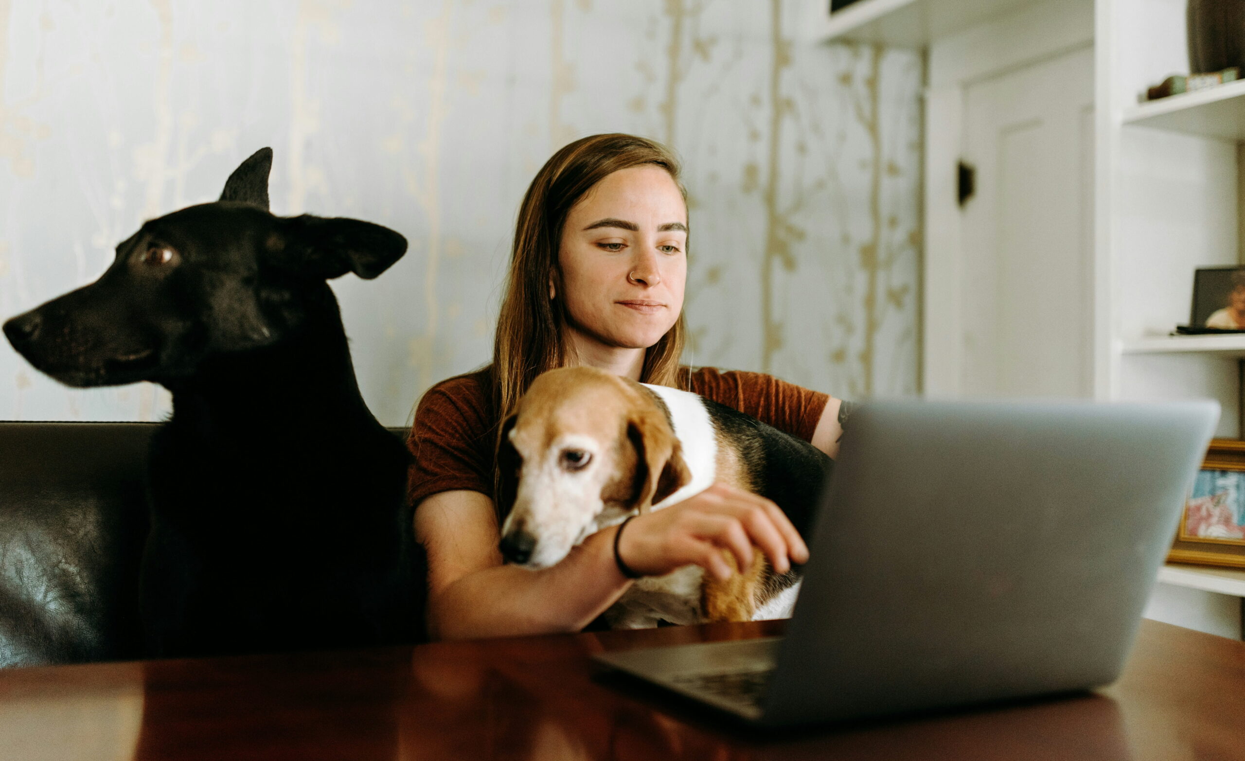Maison adaptée aux animaux : 5 astuces essentielles