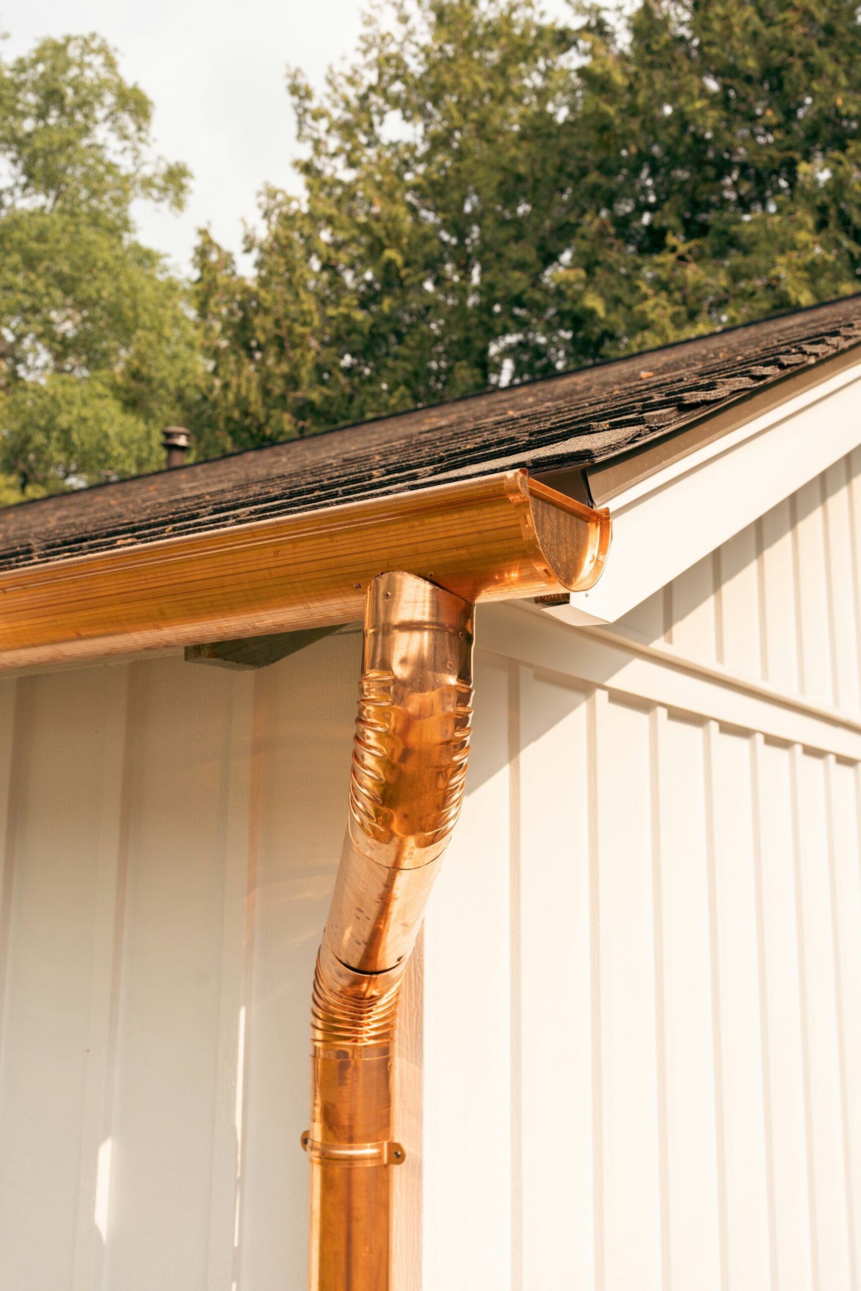 maison printemps gouttière